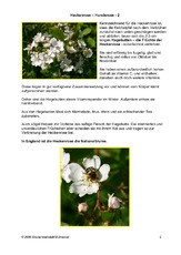 Heckenrose-Hundsrose-2.pdf